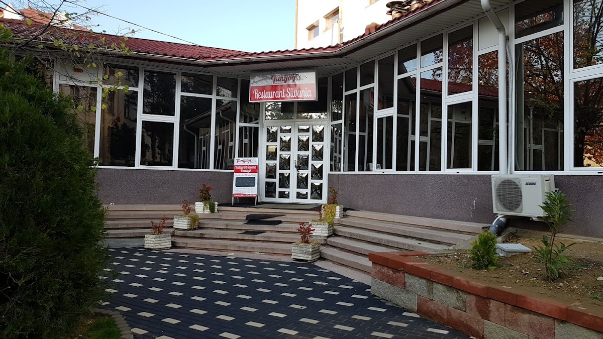 Restaurant Silvania - Tunyogi-3